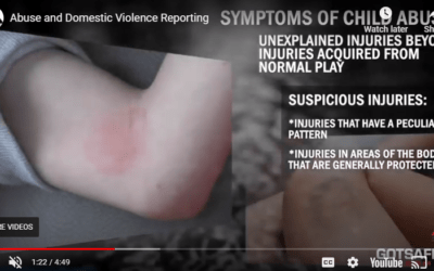 Domestic Violence Reporting