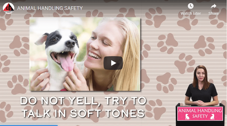 ANIMAL HANDLING SAFETY