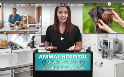 ANIMAL:DISGRUNTLED DOGS
