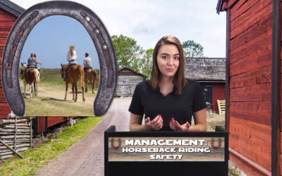 MANAGEMENT: HORSEBACK RIDING SAFETY