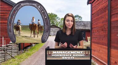 MANAGEMENT: HORSEBACK RIDING SAFETY video