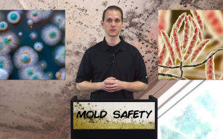 MOLD SAFETY