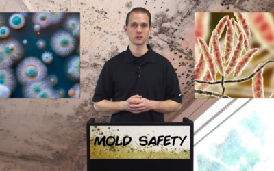 MOLD SAFETY