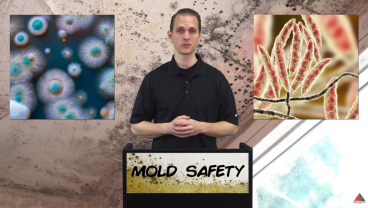MOLD SAFETY video