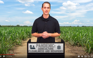 PANDEMIC: AGRICULTURE CLEANLINESS AND BEHAVIORS