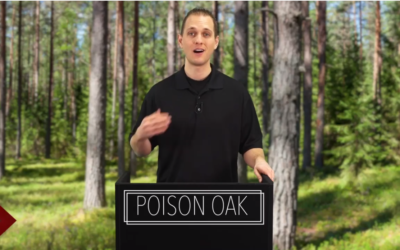 POISON OAK