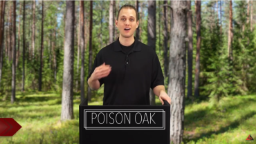 POISON OAK video