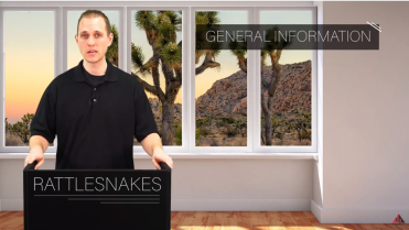 https://therealgotsafety.com/wp-content/uploads/2020/12/RATTLESNAKES.png video
