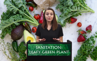 SANITATION: LEAFY GREEN PLANT