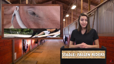 STABLE: FALLEN RIDERS video