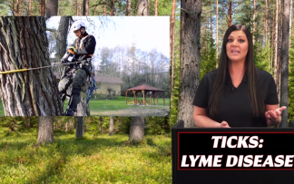 TICKS-LYME DISEASE