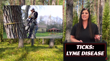 TICKS-LYME DISEASE video
