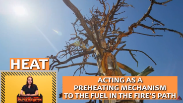 WILDFIRE PREVENTION video
