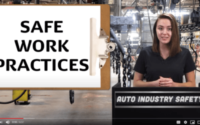 AUTO INDUSTRY SAFETY