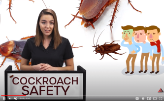 COCKROACH SAFETY video