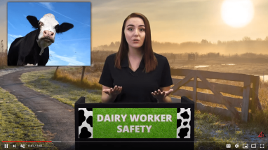 DAIRY WORKER SAFETY video