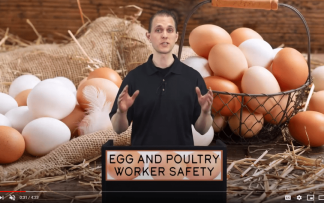 EGG AND POULTRY WORKER SAFETY