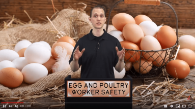 hazard communication and GHS Labels video