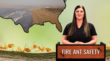 hazard communication and GHS Labels video