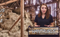 HANTAVIRUS