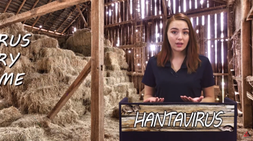 HANTAVIRUS video