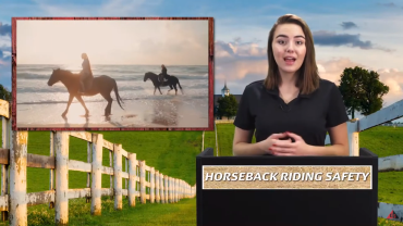 HORSEBACK RIDING SAFETY video