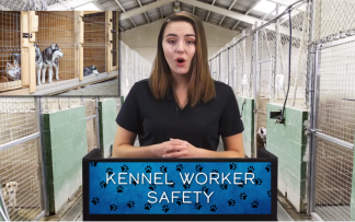 KENNEL WORKER SAFETY