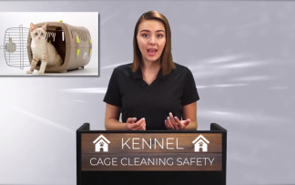 KENNEL: CAGE CLEANING SAFETY