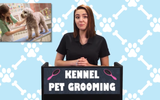 KENNEL: GROOMING