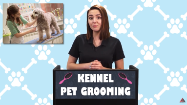 KENNEL: GROOMING video