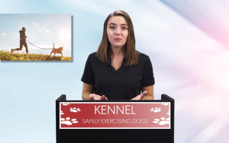KENNEL: SAFELY EXERCISING DOGS