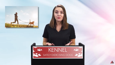 KENNEL: SAFELY EXERCISING DOGS video