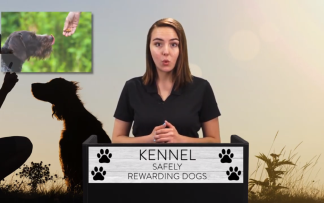 KENNEL: SAFELY REWARDING DOGS