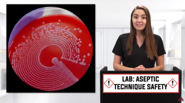 LAB: ASEPTIC TECHNIQUE SAFETY video