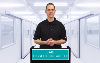 LAB: DISSECTION SAFETY