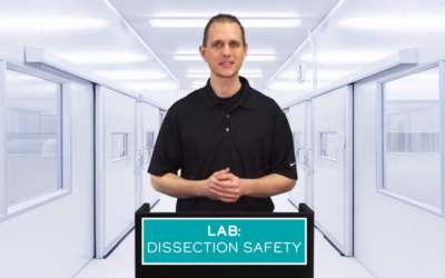 LAB: DISSECTION SAFETY