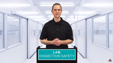 LAB: DISSECTION SAFETY video