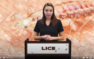 LICE