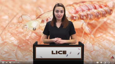 LICE Safety video